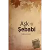 Aşk-ı Şebabi