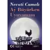 Ay Büyürken Uyuyamam