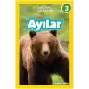 Ayılar - National Geographic Kids