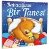 BABACIĞININ BİR TANESİ