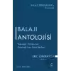 Balajı Antolojisi: Teknoloji, Hakikat ve Geleceği İnşa Etme Rehberi