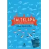 Balıklama Dalmalı İstanbula