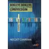 Bekleye Bekleye Çürüyeceğim