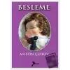 Besleme