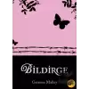 Bildirge