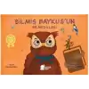 Bilmiş Baykuş’un Bilmedikleri