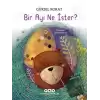 Bir Ayı Ne İster?