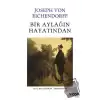 Bir Aylağın Hayatından