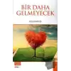 Bir Daha Gelmeyecek