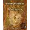 Bir Dahaki Sefer Bir Örümcek Ağı Gördüğünde