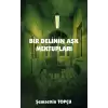 Bir Delinin Aşk Mektupları