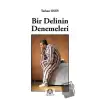 Bir Delinin Denemeleri