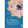 Bir Mamut Nasıl Yenir? 50 Lokmada İnsanlığın Tarihi