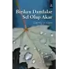 Biriken Damlalar Sel Olup Akar