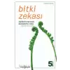 Bitki Zekası - Bitki Zekasının Şaşırtıcı Tarihi ve Bilimi