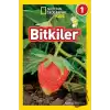 Bitkiler - National Geographic Kids