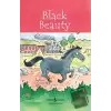 Black Beauty - Children’s Classic