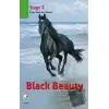 Black Beauty Stage 4 (CDsiz)