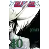 Bleach 40. Cilt