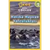 Büyük Göçler - Harika Hayvan Yolculukları