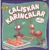 Çalışkan Karıncalar ile Tanışalım