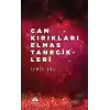 Cam Kırıkları Elmas Tanecikleri