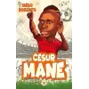 Cesur Mane