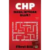 CHP Nasıl İktidar Olur?