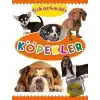 Çıkartmalı Köpekler