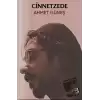 Cinnetzede