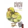 Civciv