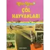 Çöl Hayvanları