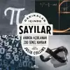 Dakikalar İçinde Sayılar - Anında Açıklanan 200 Temel Kavram