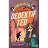 Dedektif Ted - Hadi, Olayı Çöz!