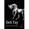 Deli Tay