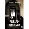 Deliliğin Sınırında