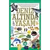 Deniz Altında Yaşam