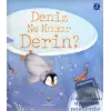 Deniz Ne Kadar Derin? (Sünger Kapaklı) (Ciltli)