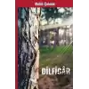 Dilfigar