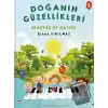 Doğanın Güzellikleri 1