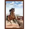 Doru At