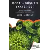 Dost ve Düşman Bakteriler