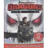 Dragons: Berkin Koruyucuları