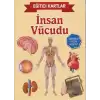 Eğitici Kartlar - İnsan Vücüdu