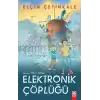 Elektronik Çöplüğü