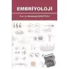 Embriyoloji