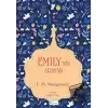 Emily’nin Arayışı (Bez Cilt) (Ciltli)