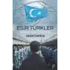 Esir Türkler