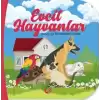 Evcil Hayvanlar - Avuç İçi Kitaplarım Dizisi