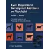 Evcil Hayvanların Fonksiyonel Anatomisi ve Fizyolojisi